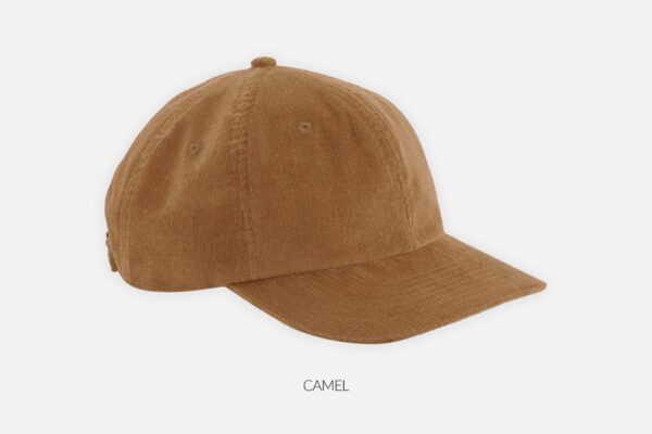 6-panel velvet cap