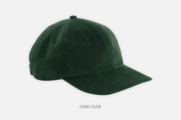 6-panel velvet cap