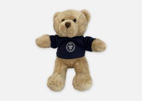 Custom soft toys