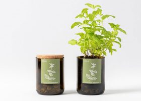 Custom herb growing kit