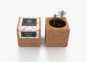 Custom Christmas tree growing kit