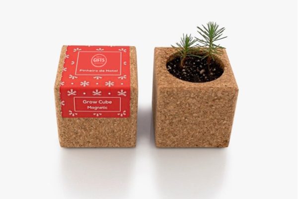 Kit plantation sapin de Noël personnalisé