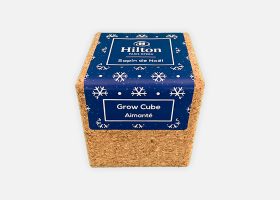 Custom Christmas tree growing kit