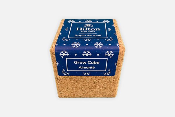 Custom cork grow kit - sapin
