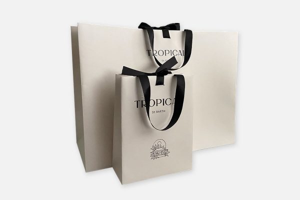 Sacs en papier de luxe personnalisés ; Custom luxury paper bags