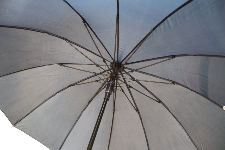 Personalized cane umbrella