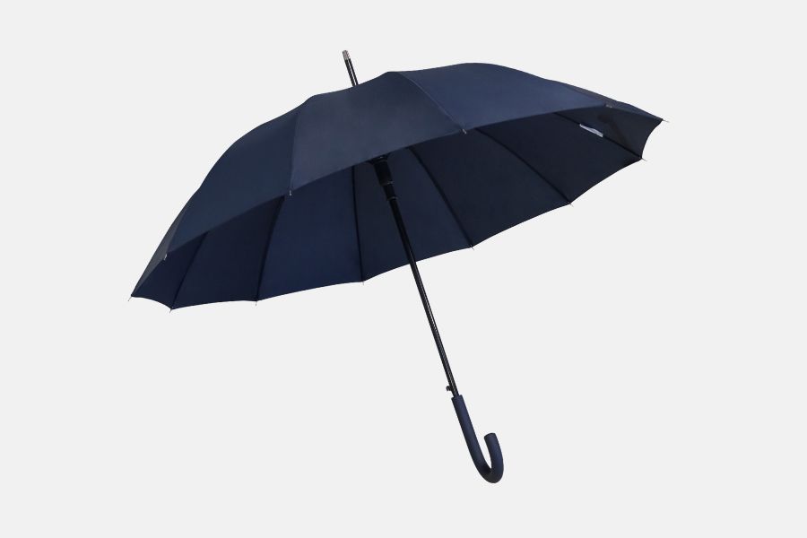 Personalized cane umbrella