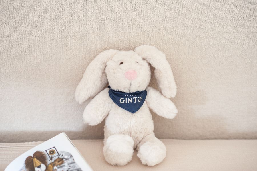Custom eco-friendly soft toys