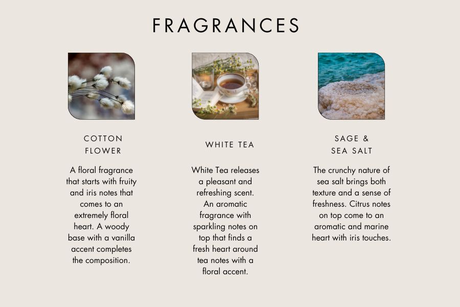 Fragrances EN 2026 1