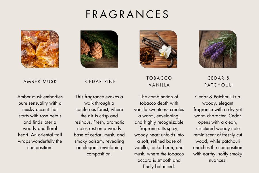 Fragrances EN 2026 4