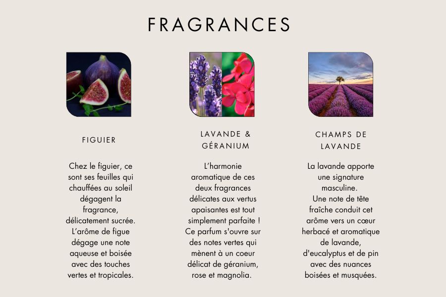 Fragrances FR 2026 2