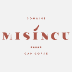 logo misincu